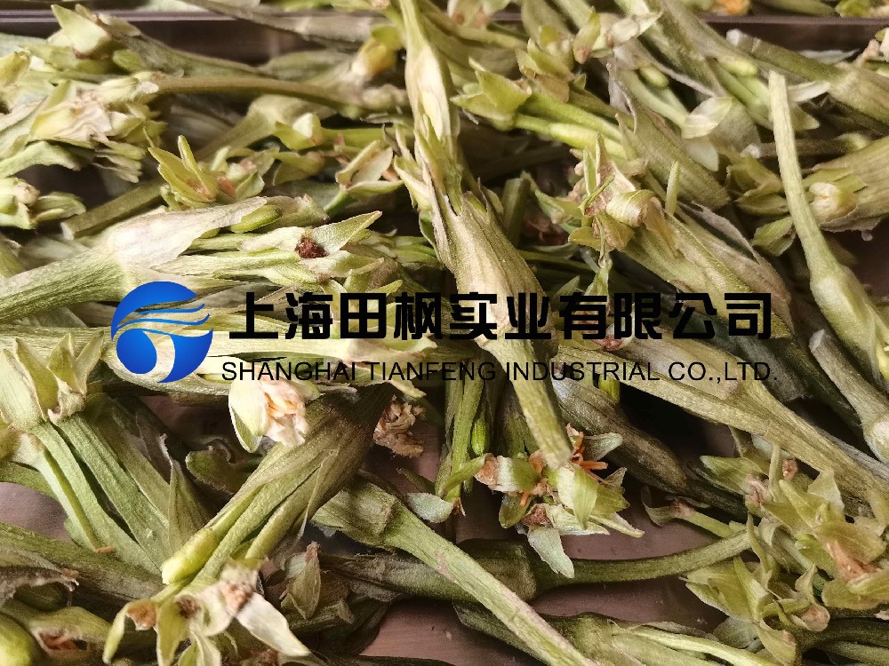 水芙蓉凍干：藥食同源凍干機應(yīng)用水芙蓉凍干加工
