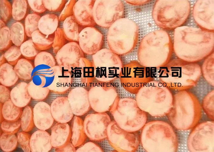 圣女果凍干：食品真空冷凍干燥機(jī)應(yīng)用果蔬凍干